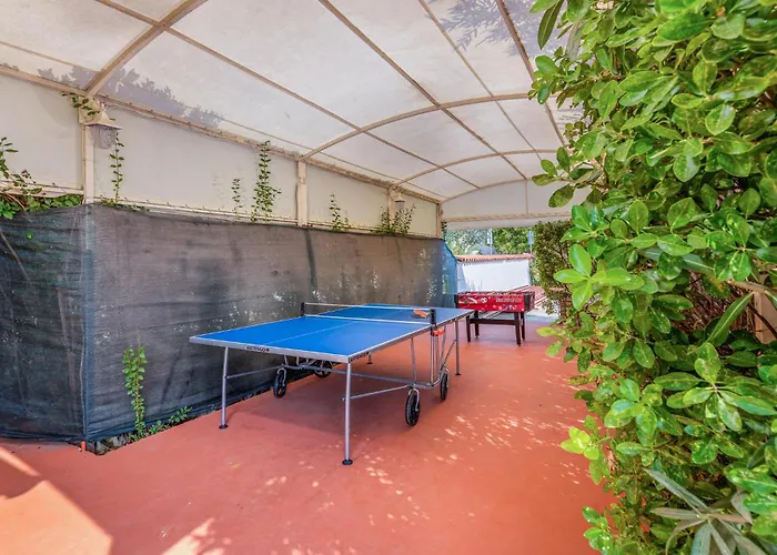 Beautiful In Vikendica